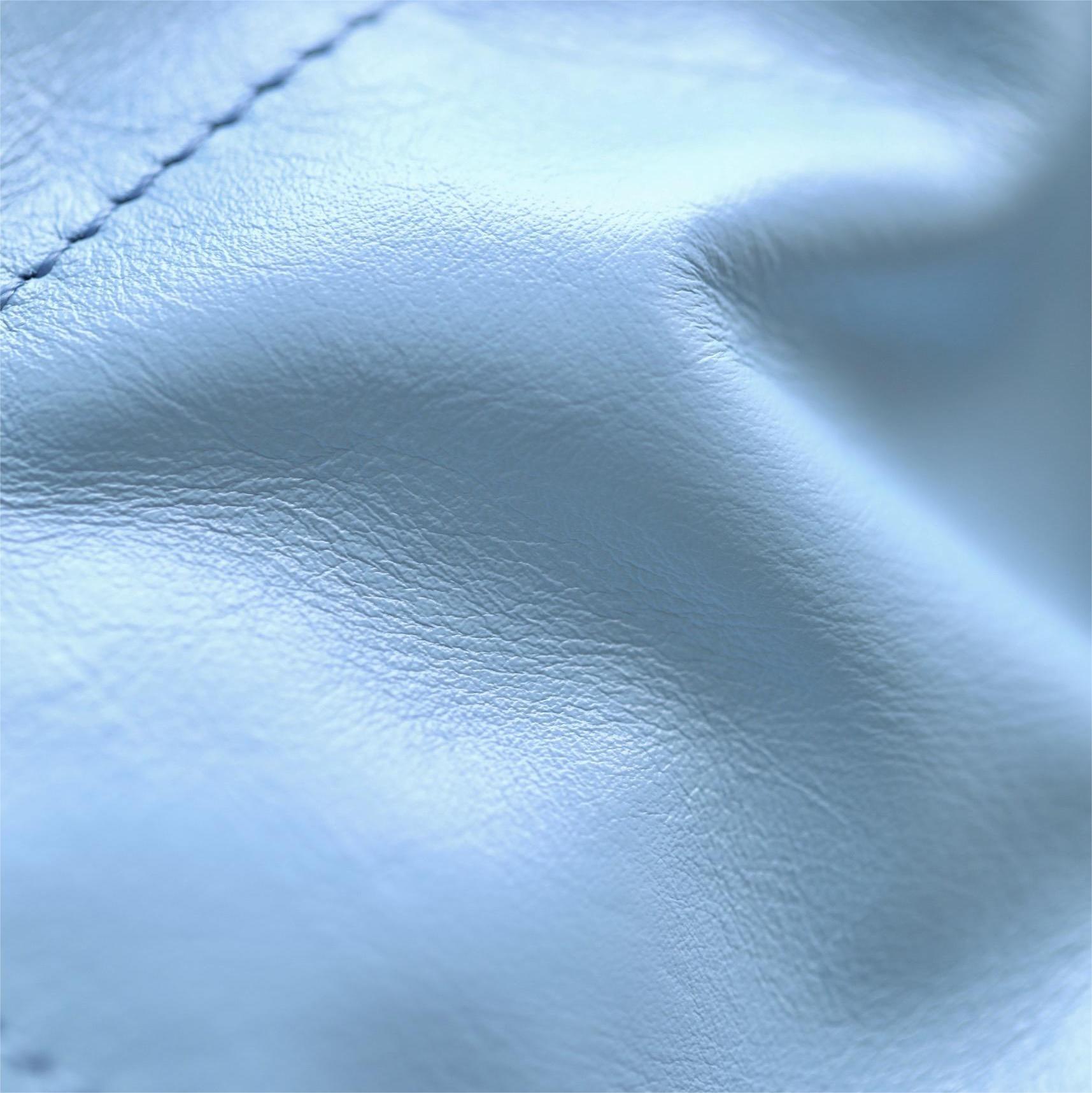 Chanel-𝟤𝟤 Milk blue silver buckle Bag