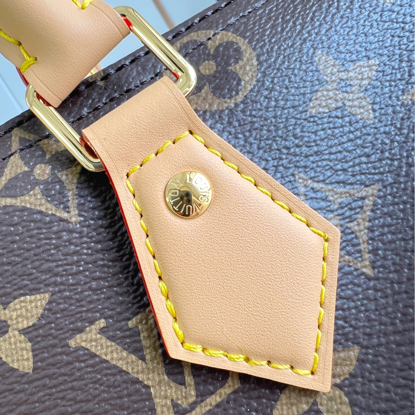 LV-Speedy Soft 30 Lucky handbag