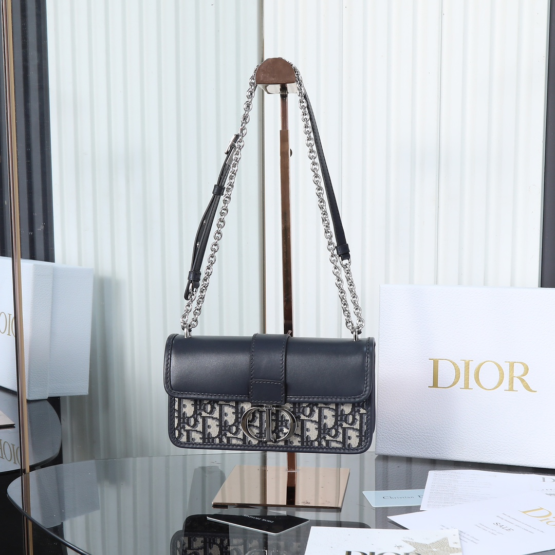 DlOR -30 Montaigne East West Handheld Shoulder Bag