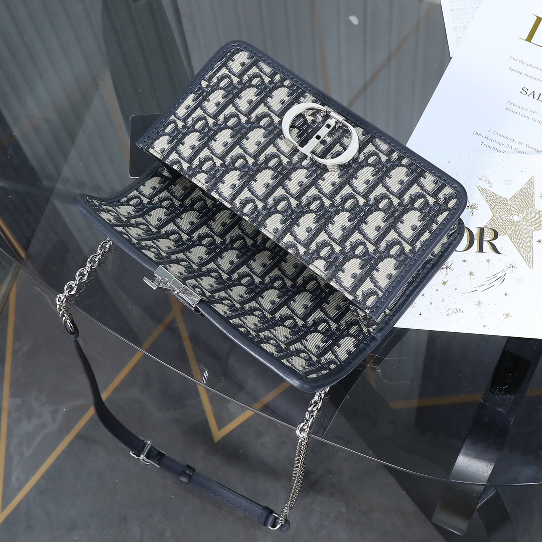 DlOR -30 Montaigne East West Handheld Shoulder Bag