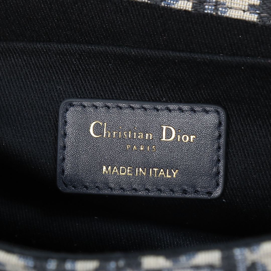 DlOR -30 Montaigne East West Handheld Shoulder Bag