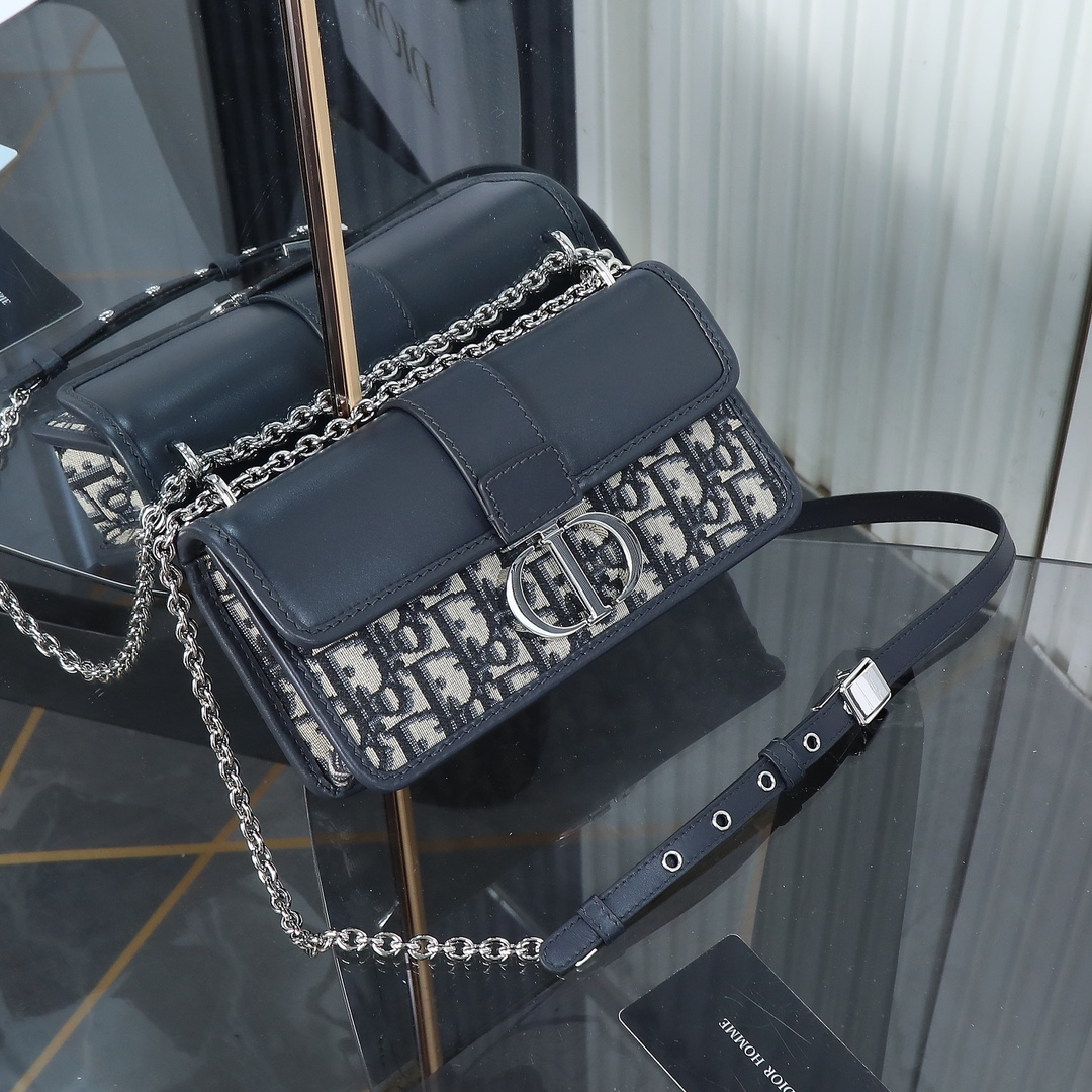 DlOR -30 Montaigne East West Handheld Shoulder Bag