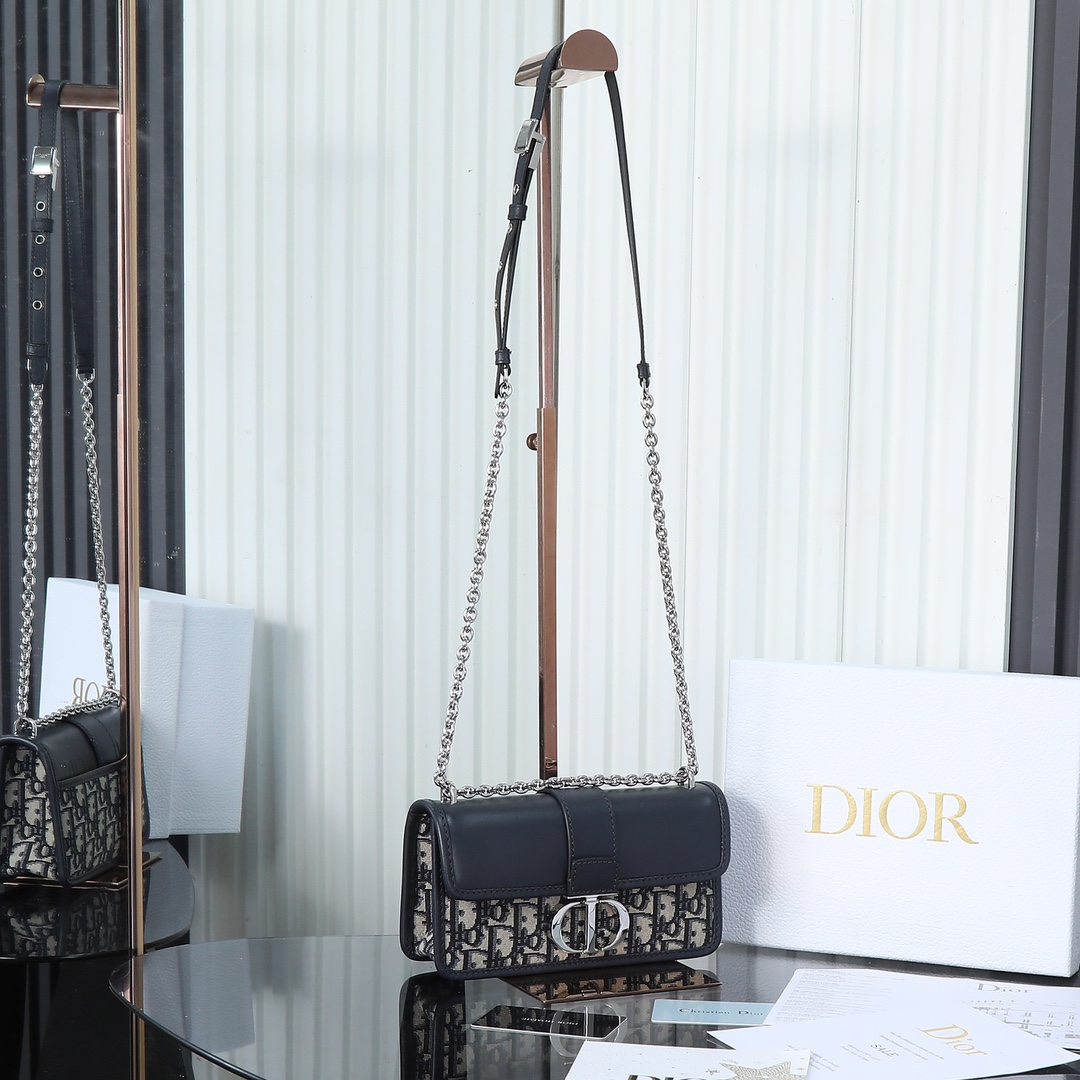 DlOR -30 Montaigne East West Handheld Shoulder Bag