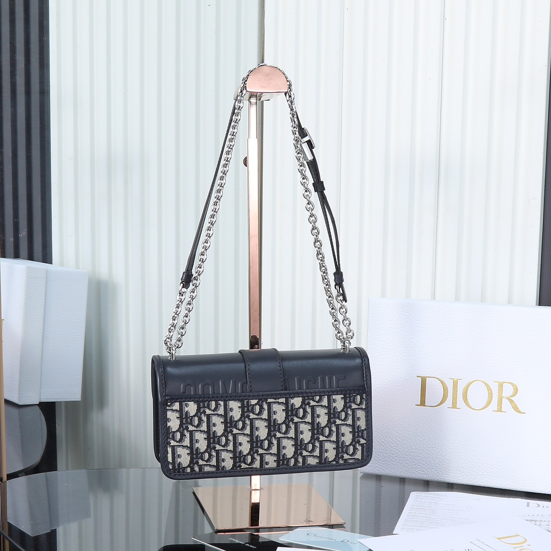 DlOR -30 Montaigne East West Handheld Shoulder Bag