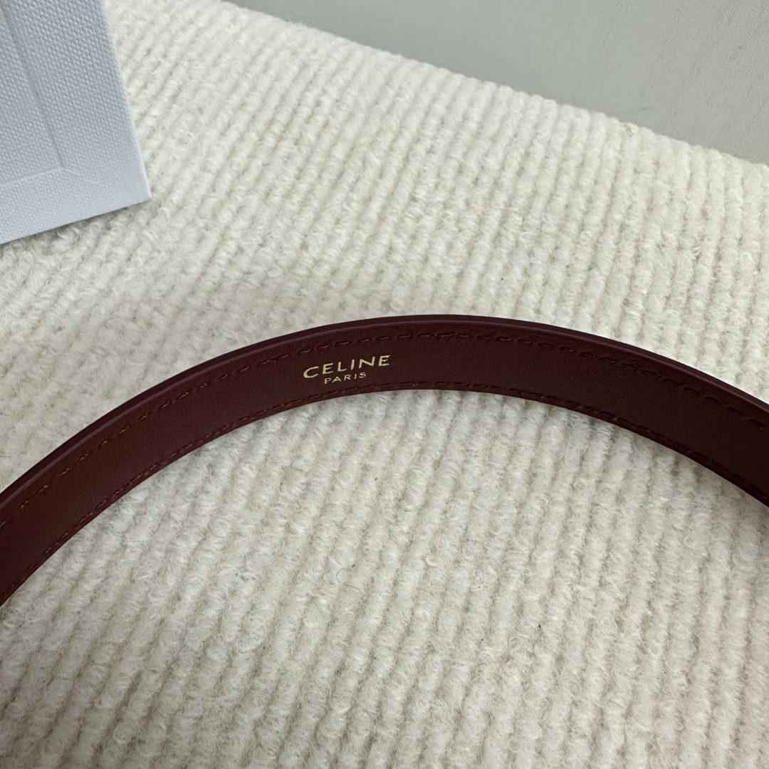 Celine-TEEN GARANCE patent leather handbag