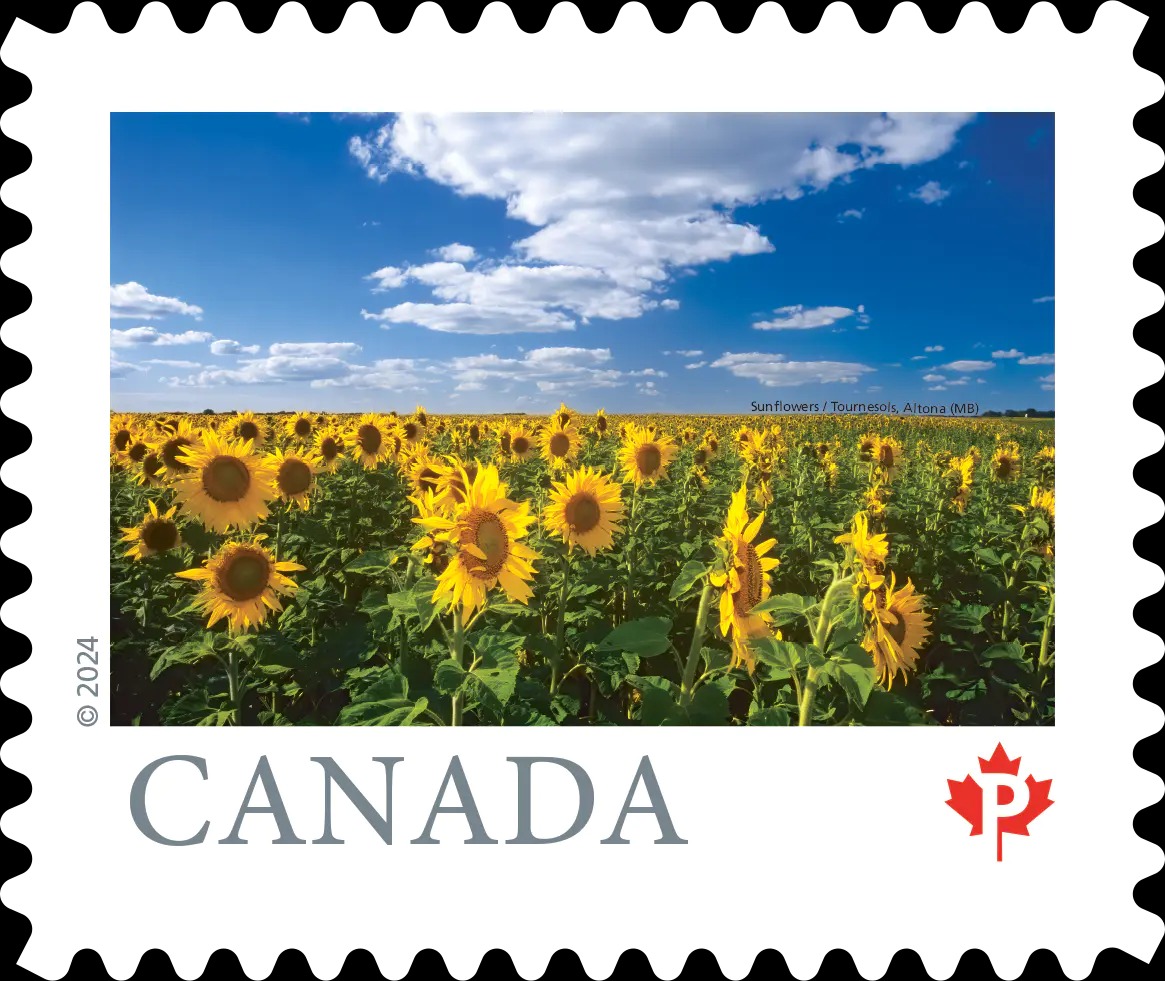 From Far and Wide (Part 4): Permanent™ domestic rate stamps - Coil of 100