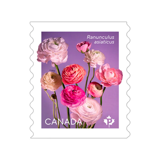 Ranunculus: 100Pcs - Permanent™ domestic rate stamps - coil of 50