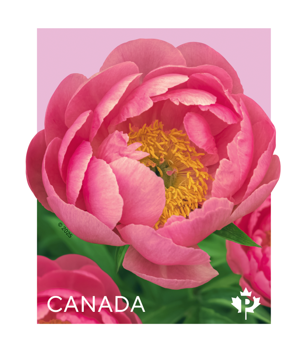 Peonies 2025 coil of 50 Permanent™ stamps