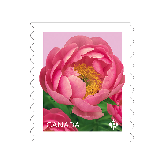Peonies 2025：1000Psc Permanent™ stamps