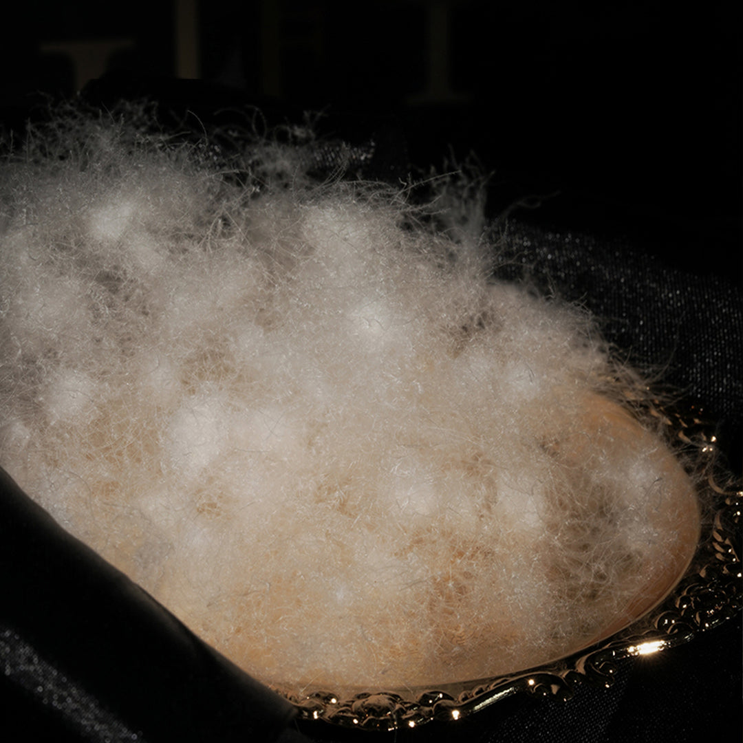 900 F.P Hungarian Pure Goose Down Pillow