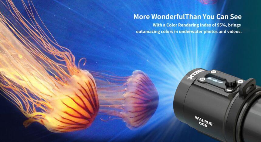 XTAR WALRUS D08 Diving Flashlight