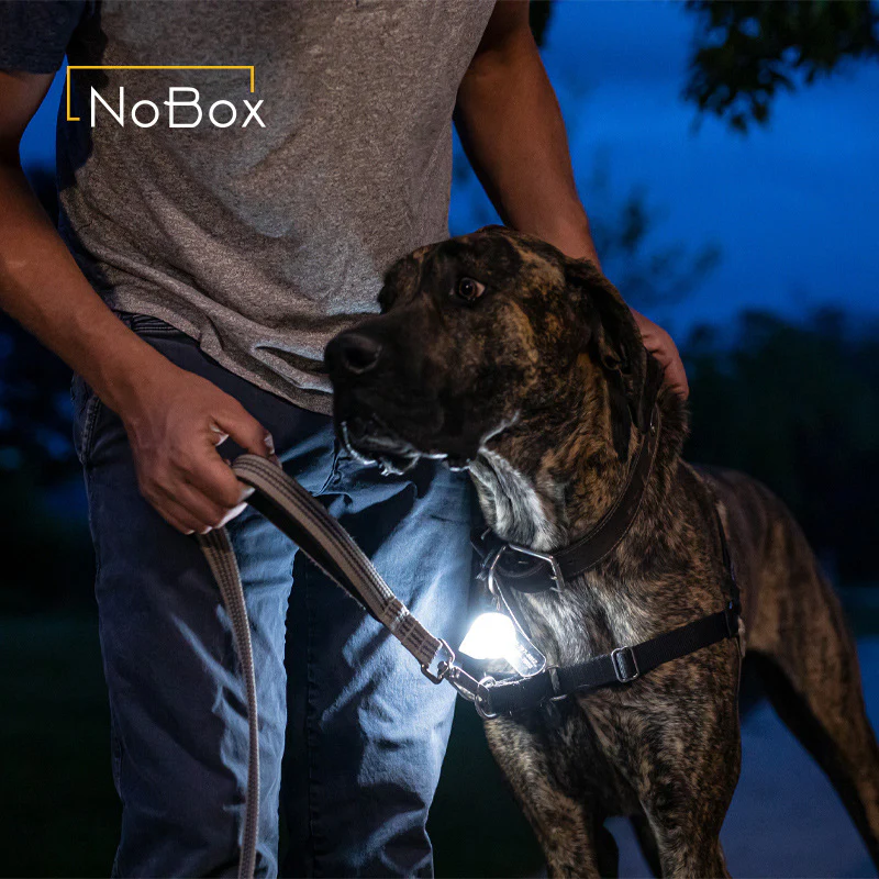 Barebones NoBox Globe Light