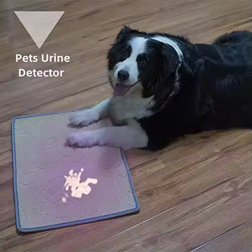 Weltool M2-BF &quotPurple BeardWeltool M2-BF &quotPurple BeardWeltool M2-BF &quotPurple BeardWeltool M2-BF &quotPurple BeardWel