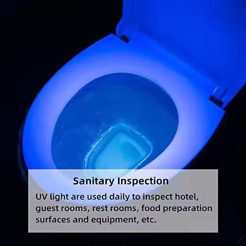 Weltool M2-BF &quotPurple BeardWeltool M2-BF &quotPurple BeardWeltool M2-BF &quotPurple BeardWeltool M2-BF &quotPurple BeardWel