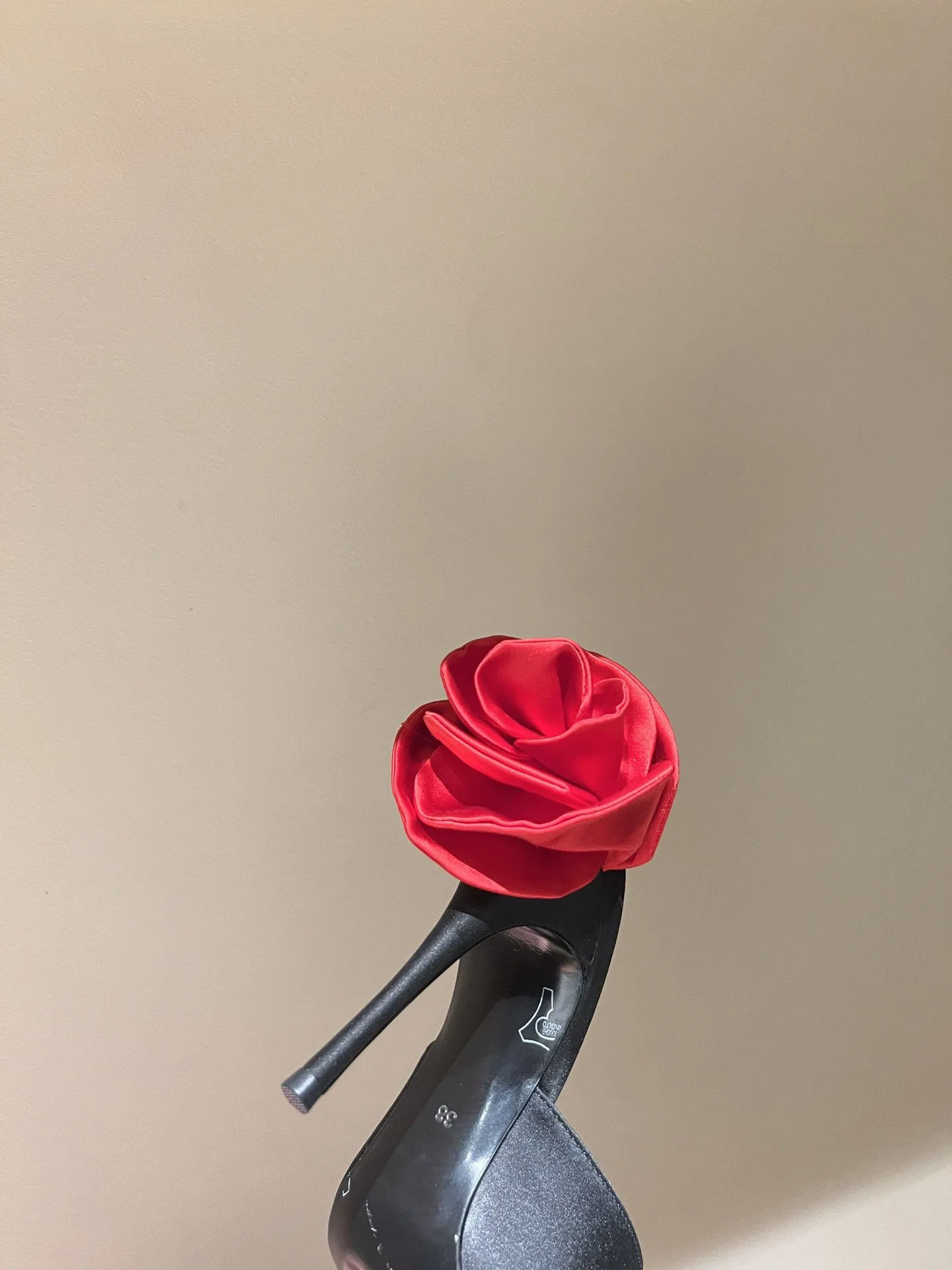 Spring New Banquet Pointed Pearl Petals Decoration Fine Heel Silk