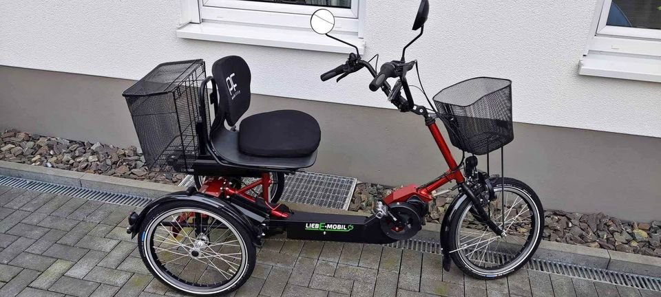 E-Bike SHIMANO Disco 20 Zoll 5-Gang Tiefeinsteiger Dreirad